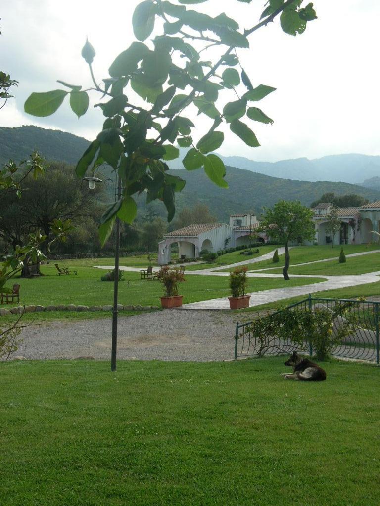 Gasthaus Tenuta Le Terre 1927 San Teodoro  Exterior foto